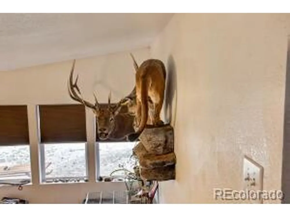 640 County Rd 571 Gardner, CO 81040