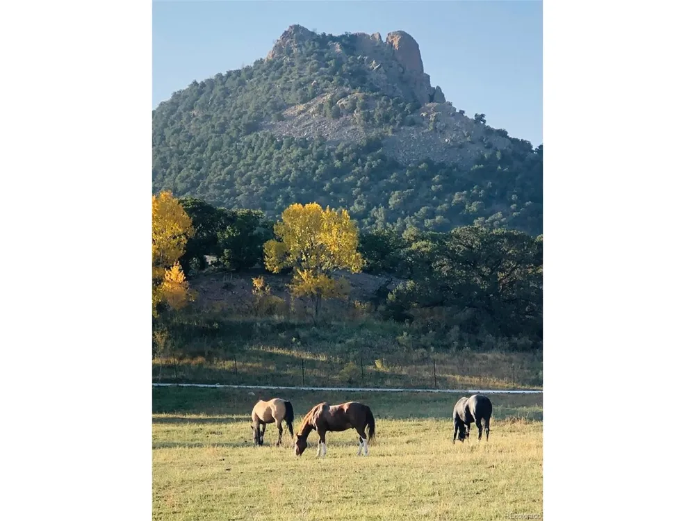 640 County Rd 571 Gardner, CO 81040