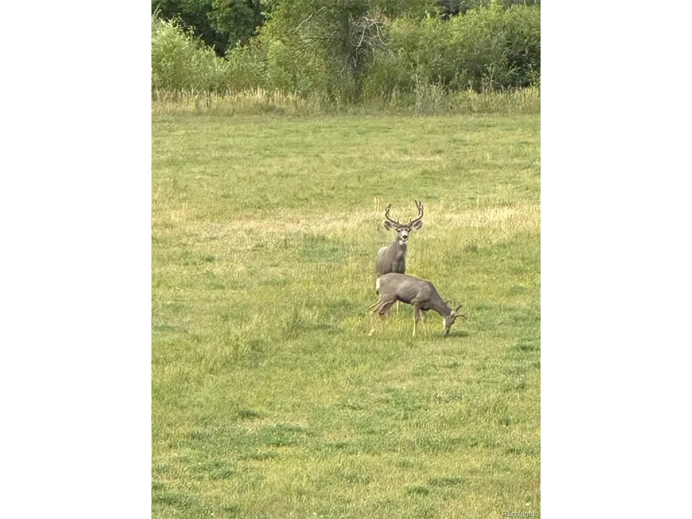 640 County Rd 571 Gardner, CO 81040