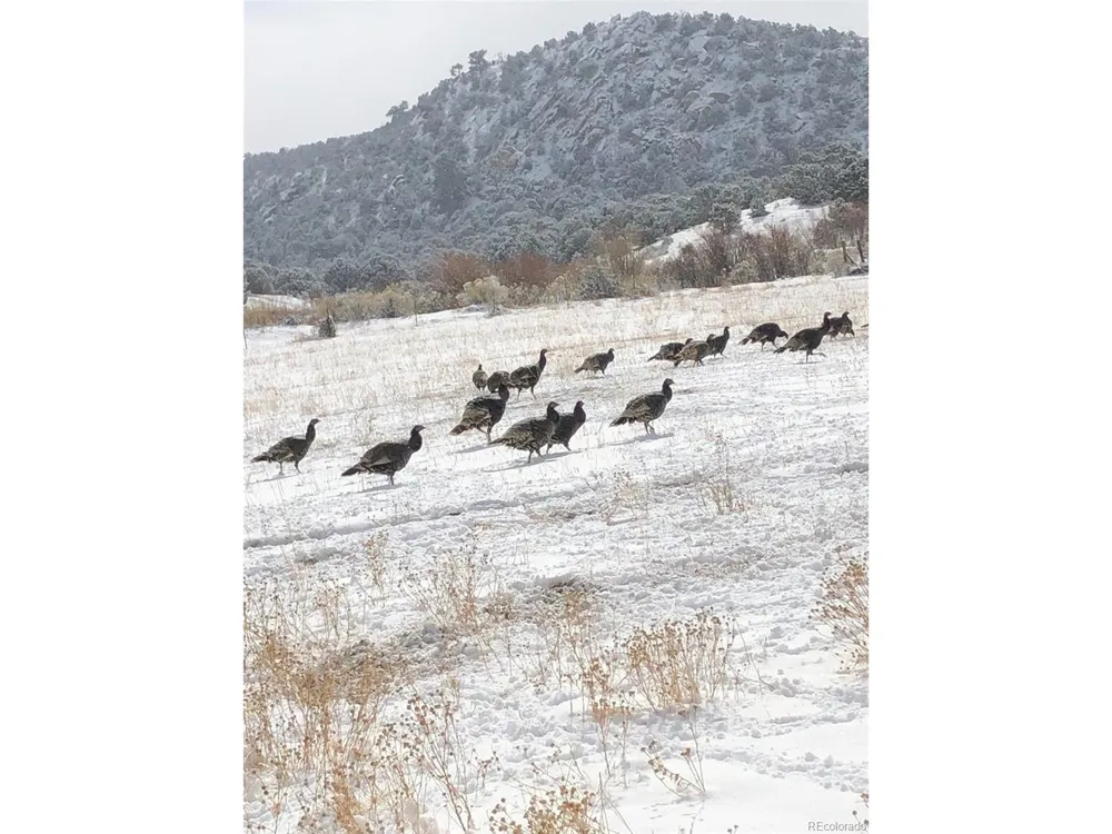 640 County Rd 571 Gardner, CO 81040