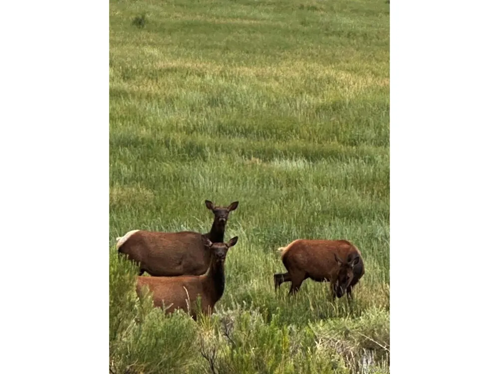 640 County Rd 571 Gardner, CO 81040