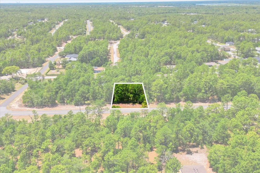 10858 ELKCAM BOULEVARD Citrus Springs, FL 34433