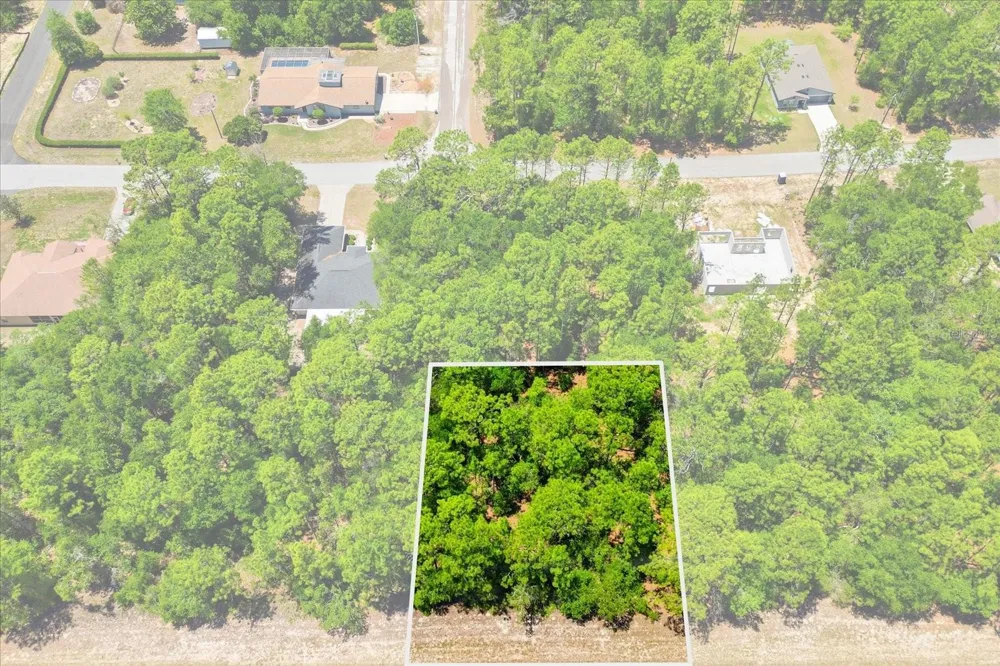 10858 ELKCAM BOULEVARD Citrus Springs, FL 34433