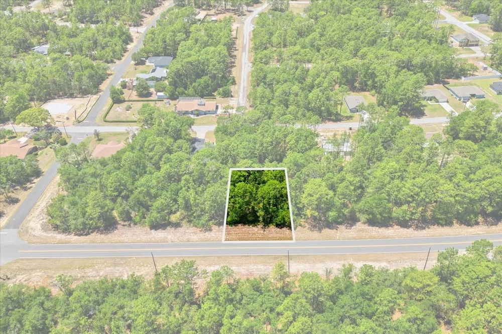 10858 ELKCAM BOULEVARD Citrus Springs, FL 34433