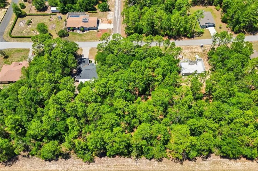 10858 ELKCAM BOULEVARD Citrus Springs, FL 34433