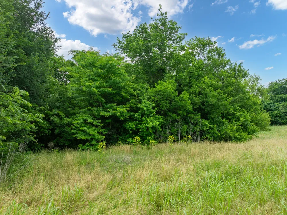 S Davis Street Hillsboro, TX 76645