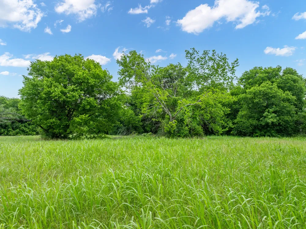 S Davis Street Hillsboro, TX 76645