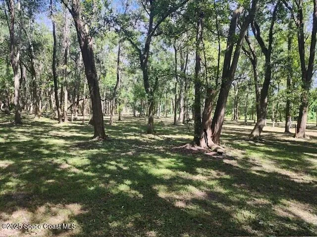 4110 Hampton Lane Mims, FL 32754
