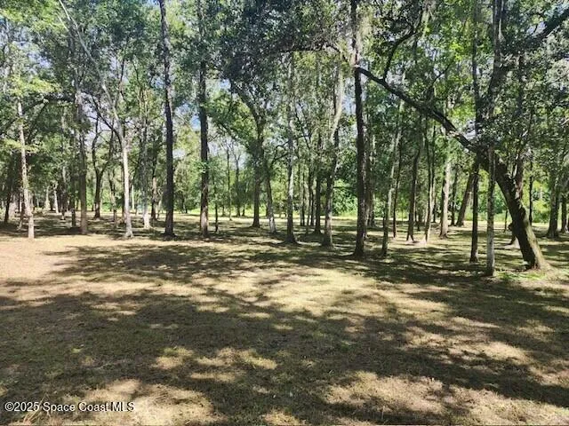 4110 Hampton Lane Mims, FL 32754
