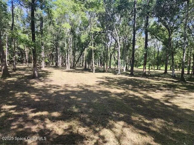 4110 Hampton Lane Mims, FL 32754