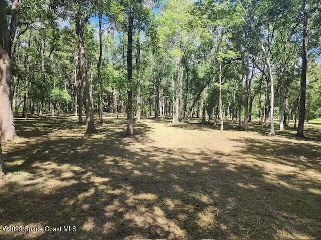 4110 Hampton Lane Mims, FL 32754