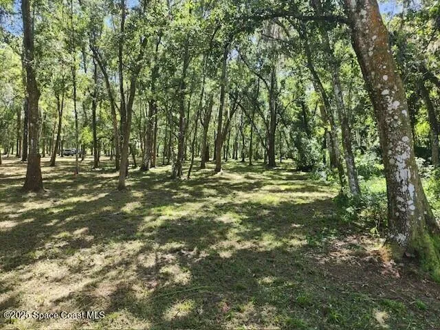 4110 Hampton Lane Mims, FL 32754