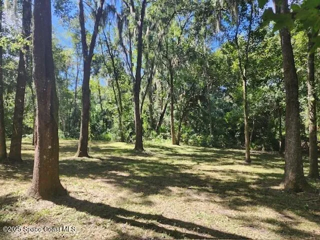 4110 Hampton Lane Mims, FL 32754