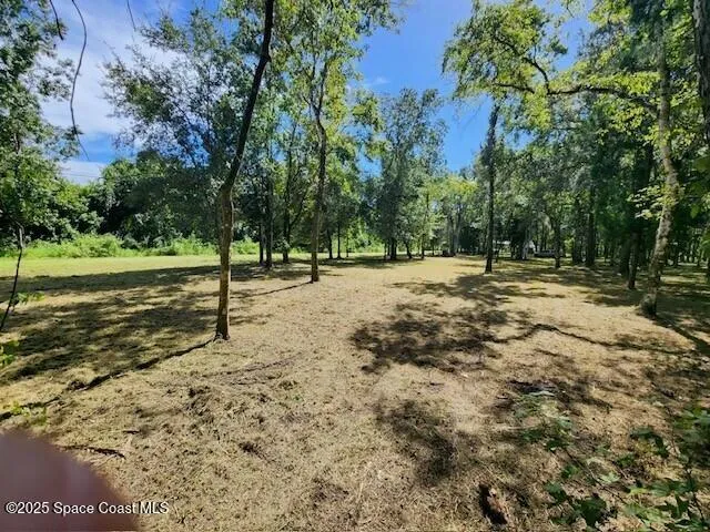 4110 Hampton Lane Mims, FL 32754