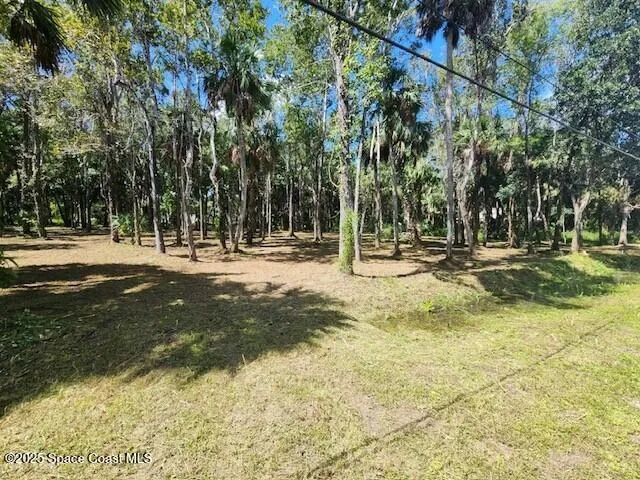 4110 Hampton Lane Mims, FL 32754