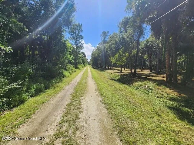 4110 Hampton Lane Mims, FL 32754