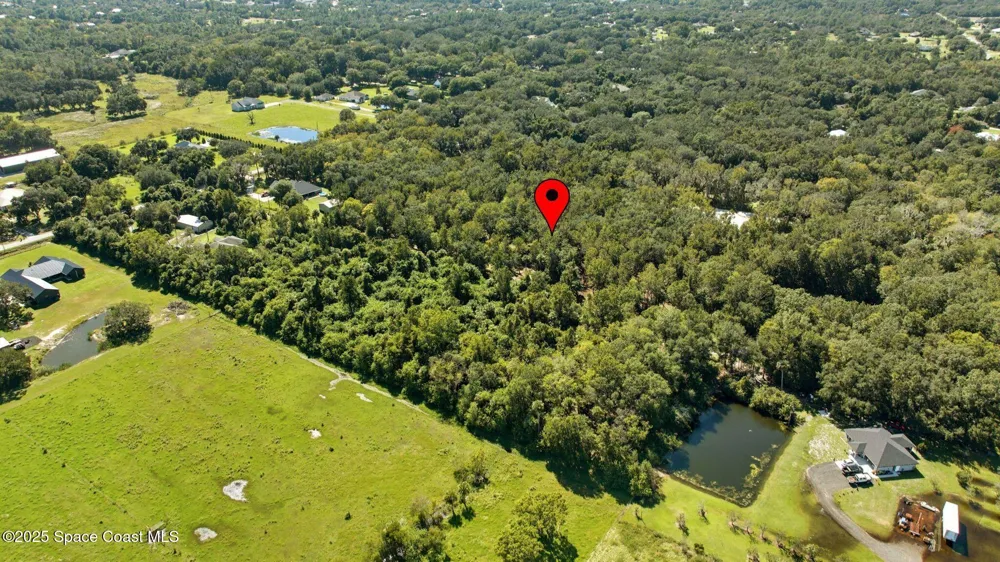 4110 Hampton Lane Mims, FL 32754