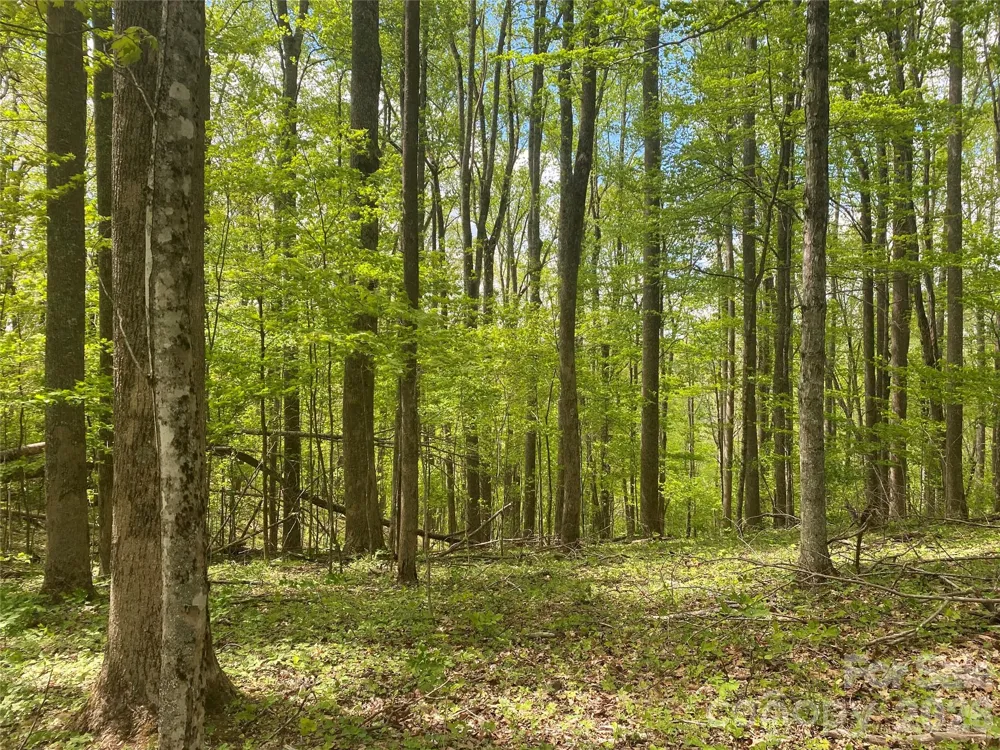 TBD US 23 Highway Mars Hill, NC 28754