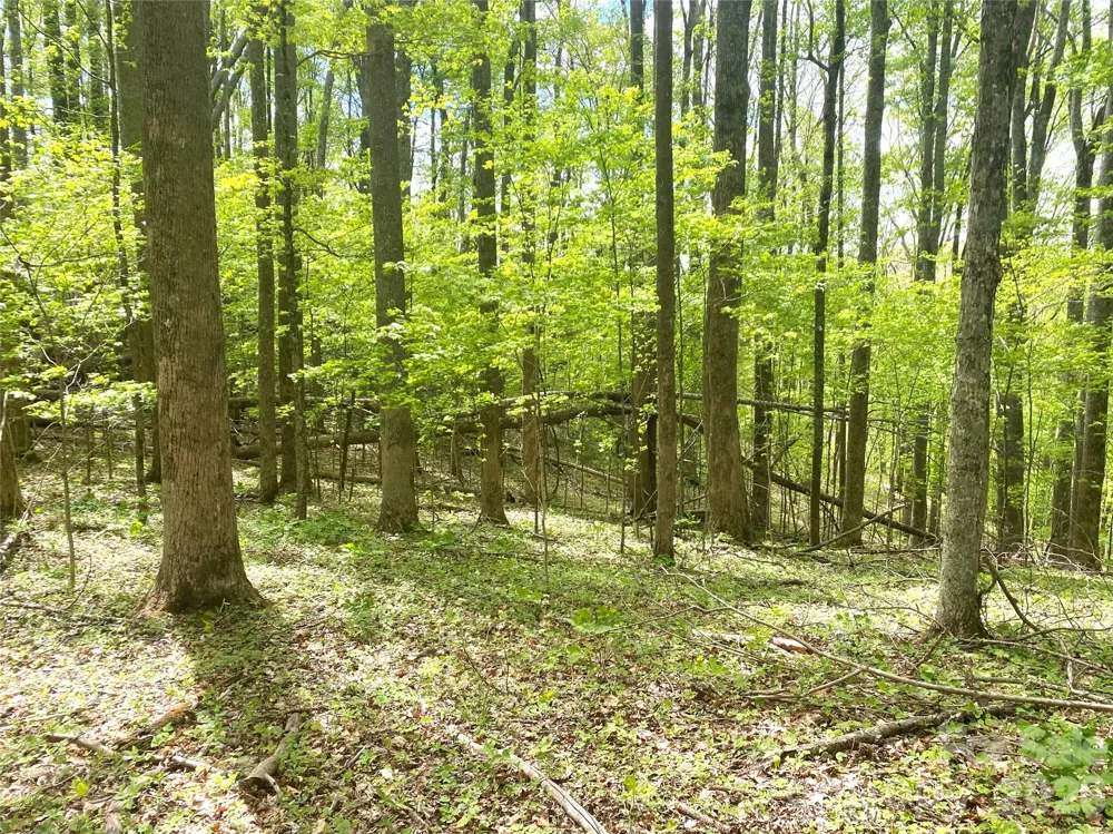 TBD US 23 Highway Mars Hill, NC 28754