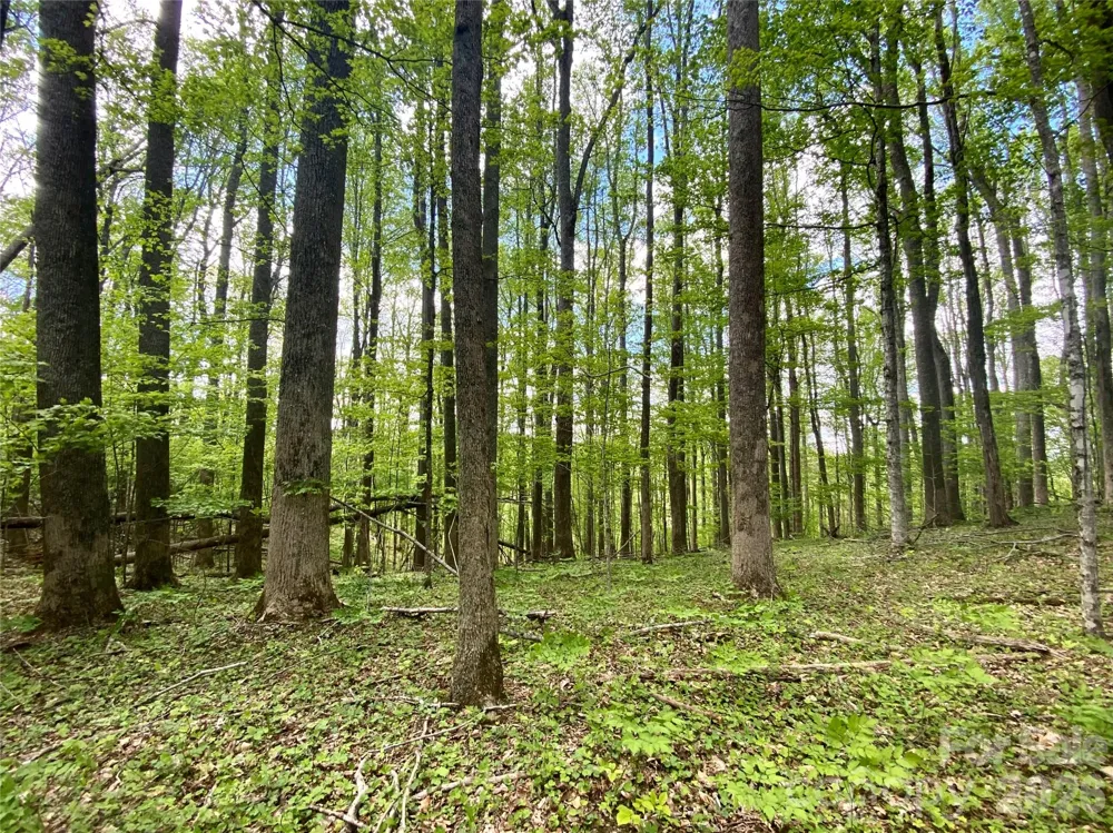 TBD US 23 Highway Mars Hill, NC 28754