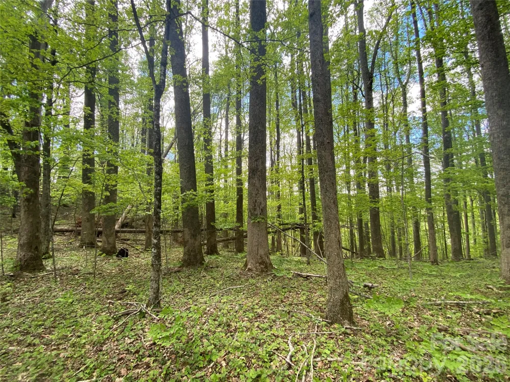 TBD US 23 Highway Mars Hill, NC 28754