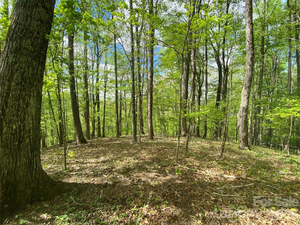 TBD US 23 Highway Mars Hill, NC 28754