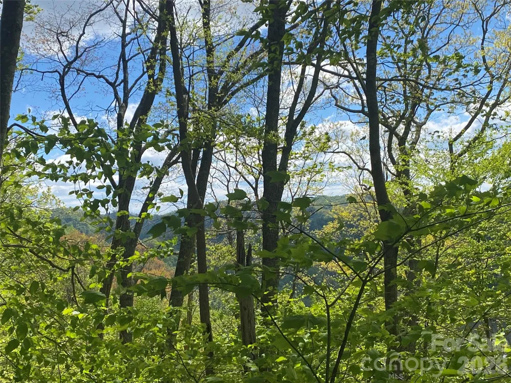 TBD US 23 Highway Mars Hill, NC 28754