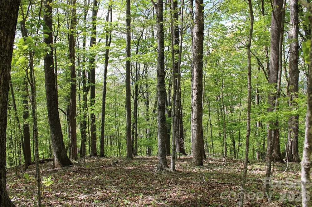 TBD US 23 Highway Mars Hill, NC 28754