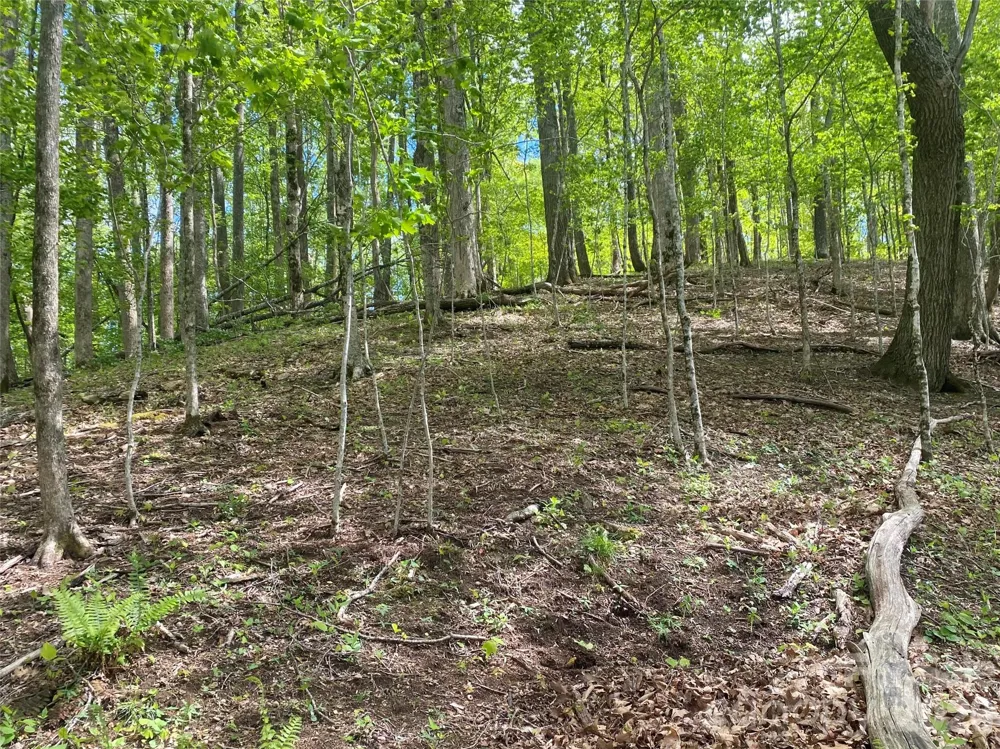 TBD US 23 Highway Mars Hill, NC 28754