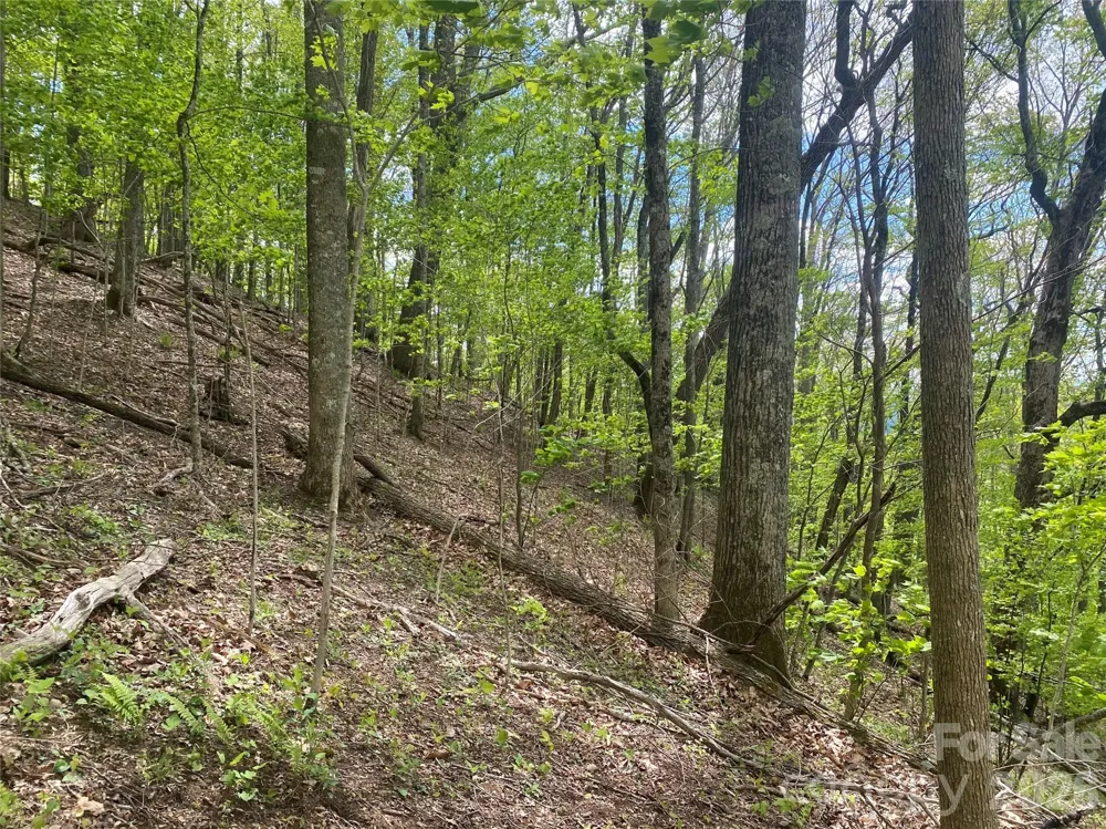 TBD US 23 Highway Mars Hill, NC 28754