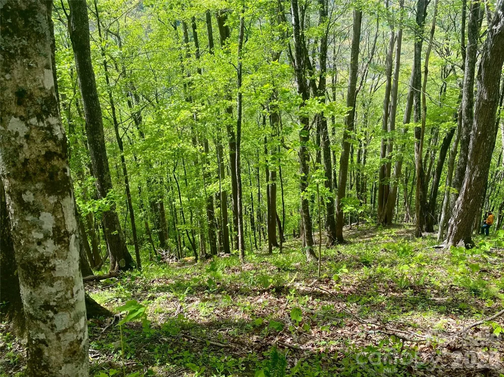 TBD US 23 Highway Mars Hill, NC 28754