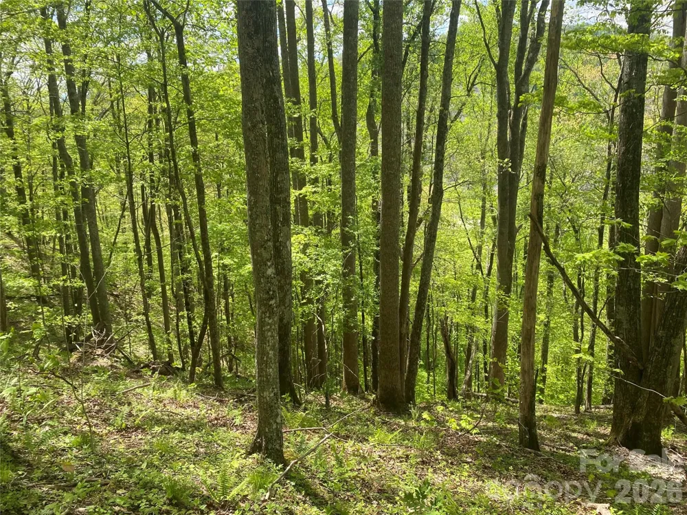TBD US 23 Highway Mars Hill, NC 28754