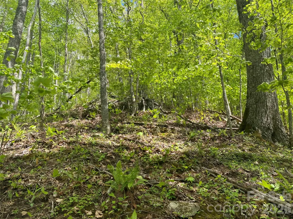 TBD US 23 Highway Mars Hill, NC 28754