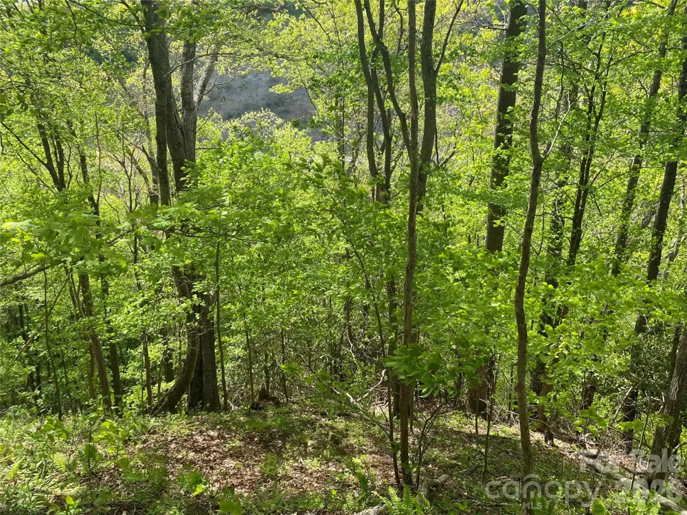 TBD US 23 Highway Mars Hill, NC 28754