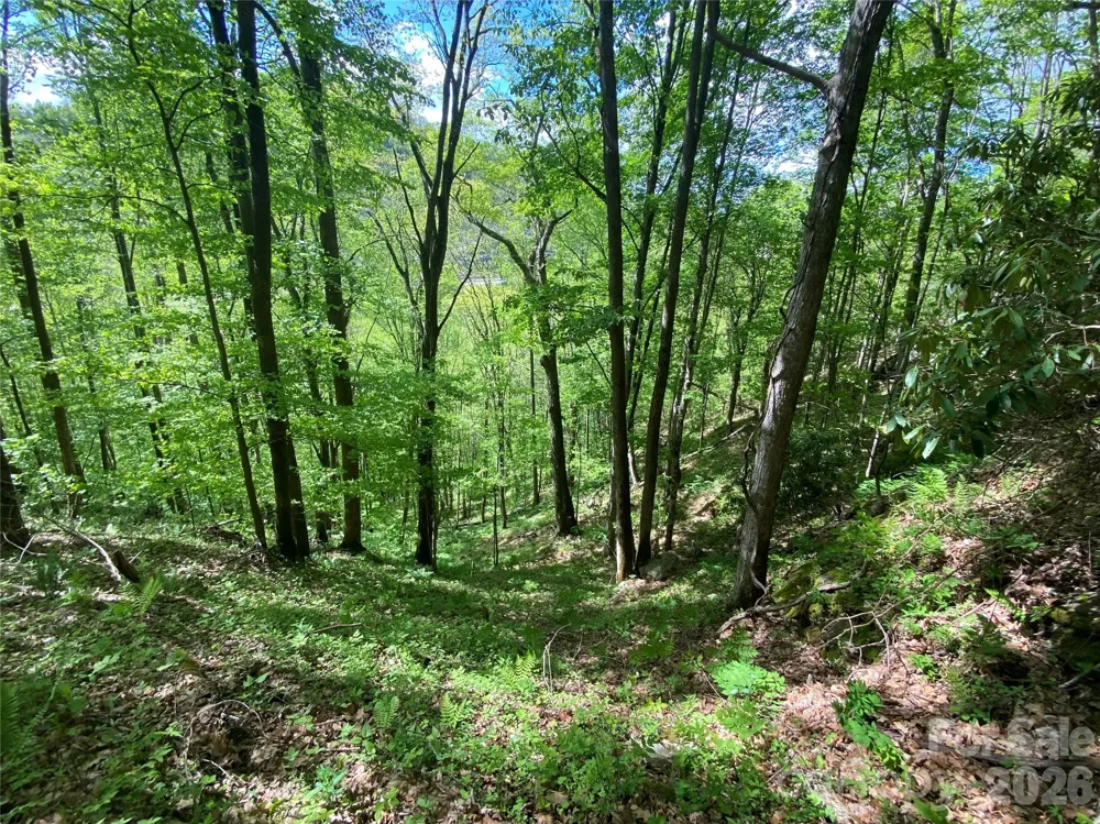 TBD US 23 Highway Mars Hill, NC 28754