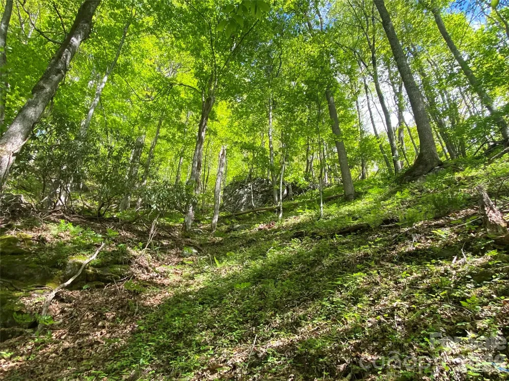 TBD US 23 Highway Mars Hill, NC 28754