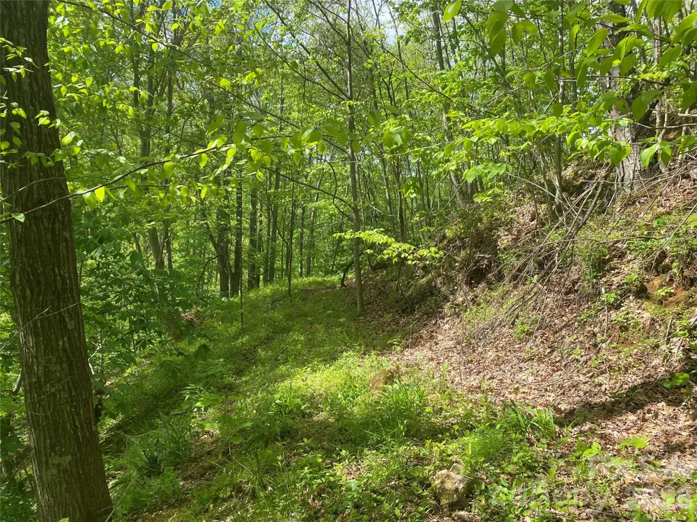 TBD US 23 Highway Mars Hill, NC 28754