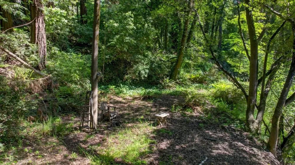 450 Vine Hill Road Santa Cruz, CA 95065