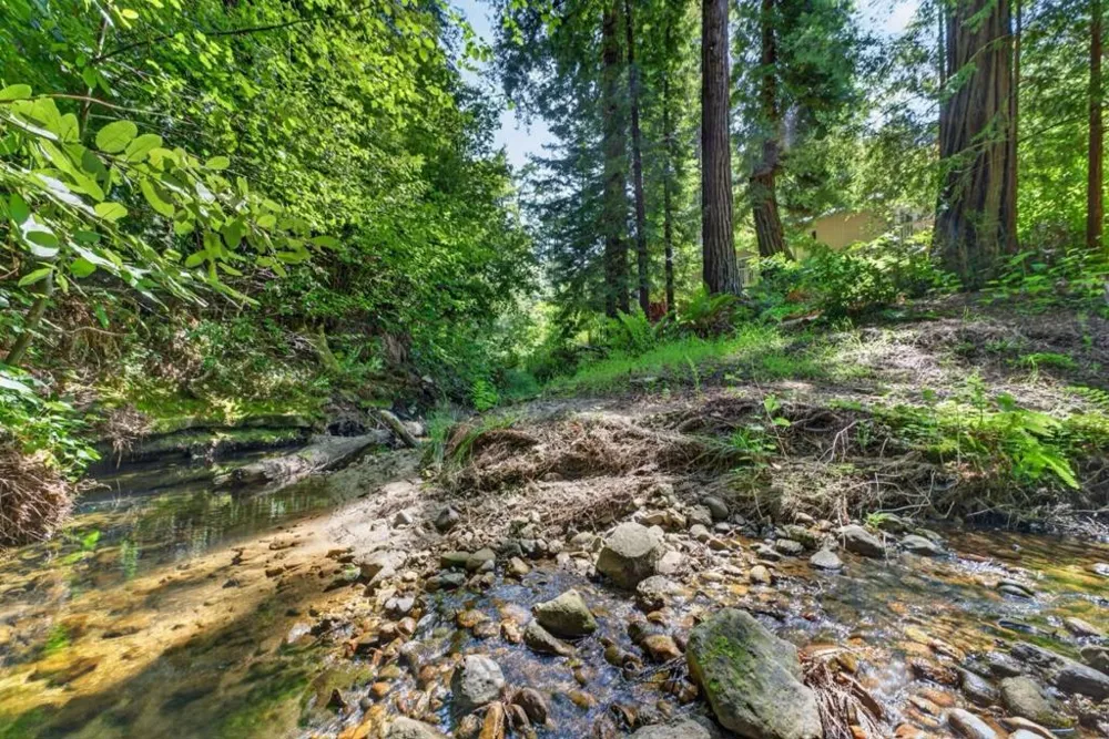 450 Vine Hill Road Santa Cruz, CA 95065
