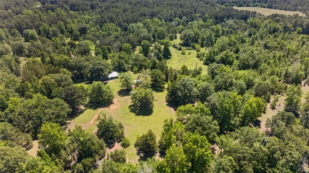 Anderson County Road 359 (Off) Palestine, TX 75801