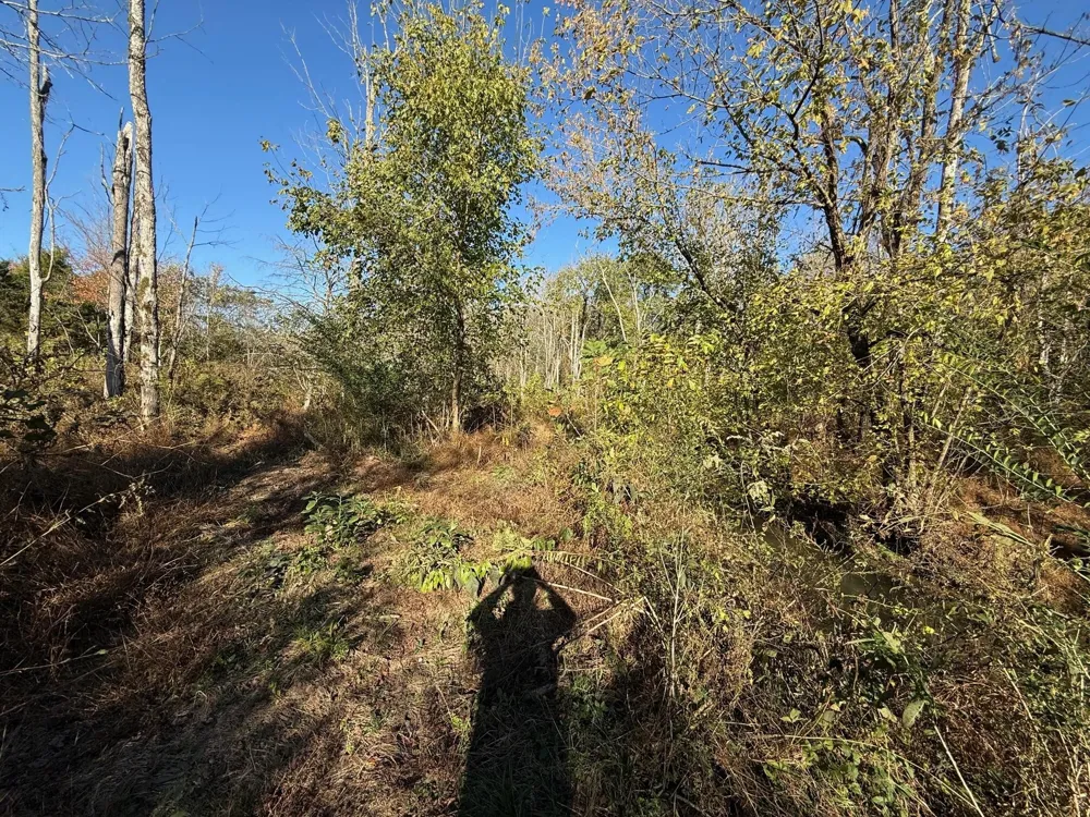 0 Durkee Road SE Cleveland, TN 37323