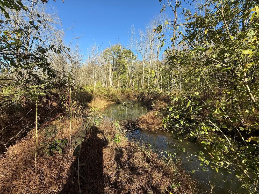 0 Durkee Road SE Cleveland, TN 37323