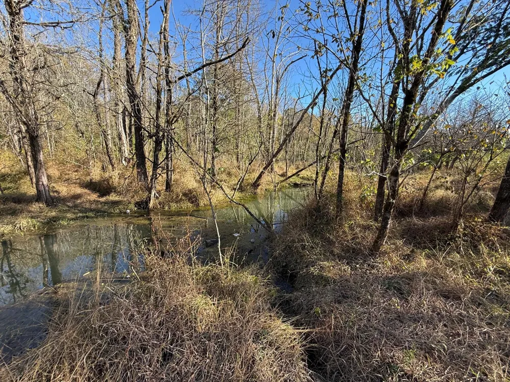 0 Durkee Road SE Cleveland, TN 37323