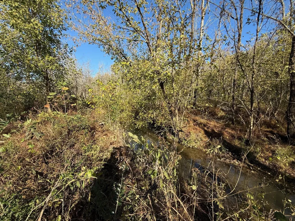0 Durkee Road SE Cleveland, TN 37323