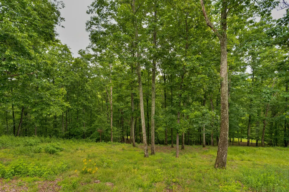 911 New England Road Wildwood, GA 30757