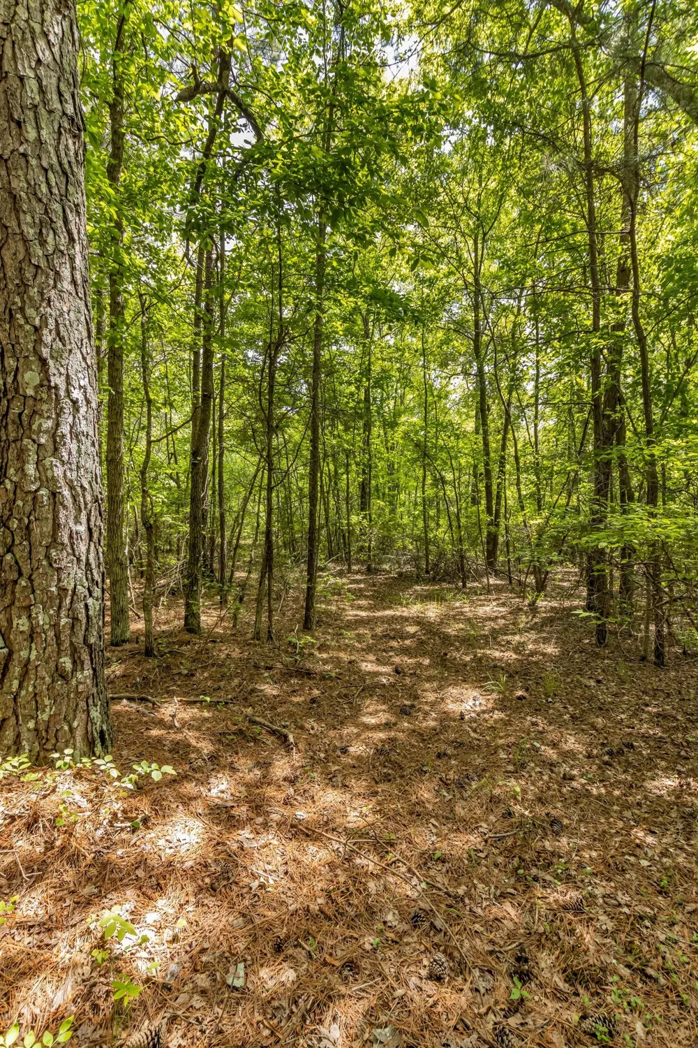 200 Swann Rd Manchester, TN 37355