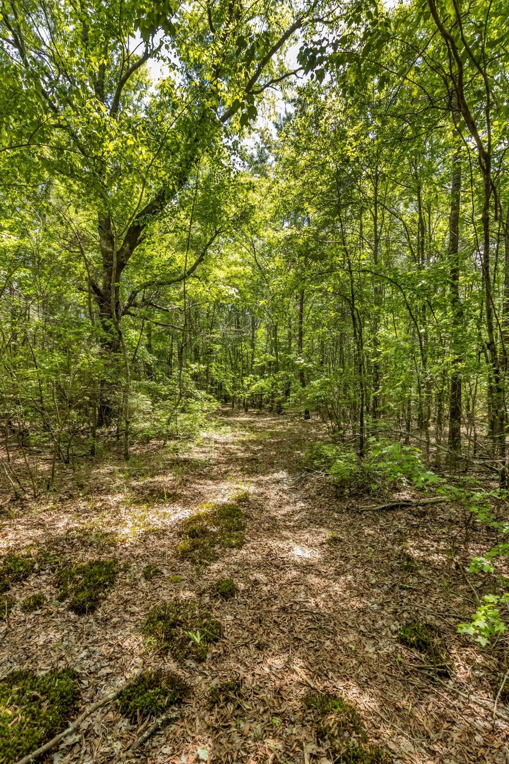 200 Swann Rd Manchester, TN 37355