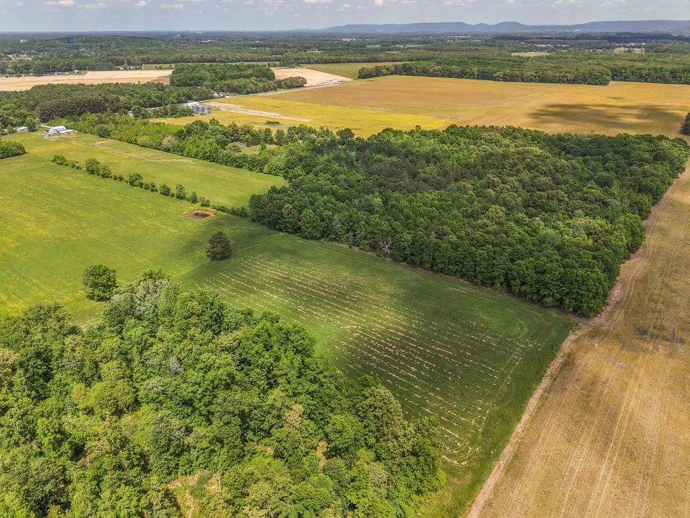 200 Swann Rd Manchester, TN 37355