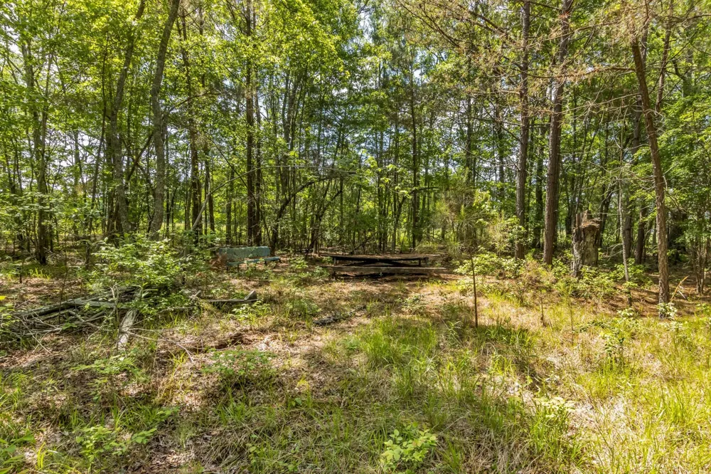 200 Swann Rd Manchester, TN 37355