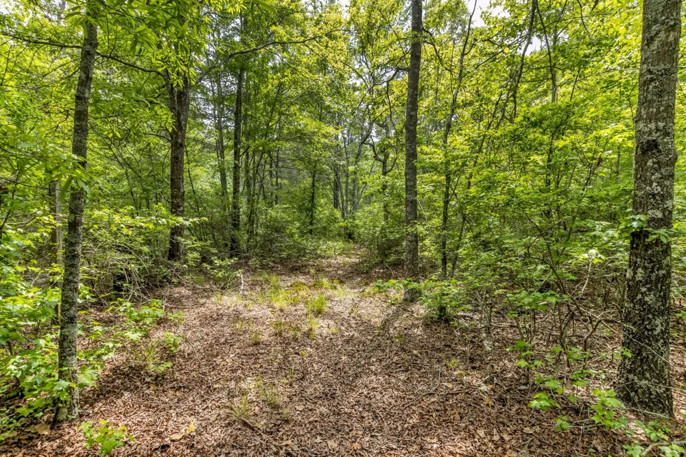 200 Swann Rd Manchester, TN 37355